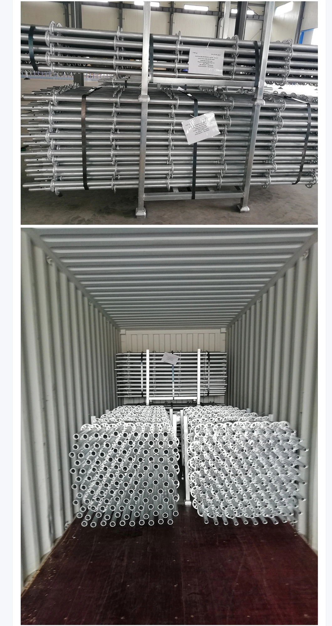 Allround Steel Hot Dipped Galvanized Ringlock Scaffolding/Scaffold System for Building/Tunnel/Bridge Construction